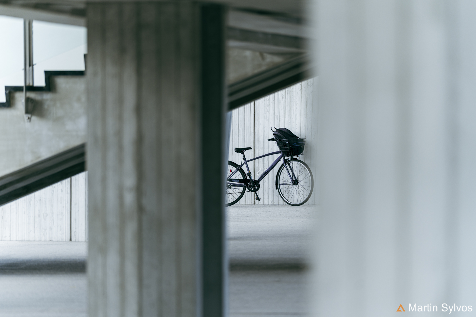 2025 Japon martin sylvos 12